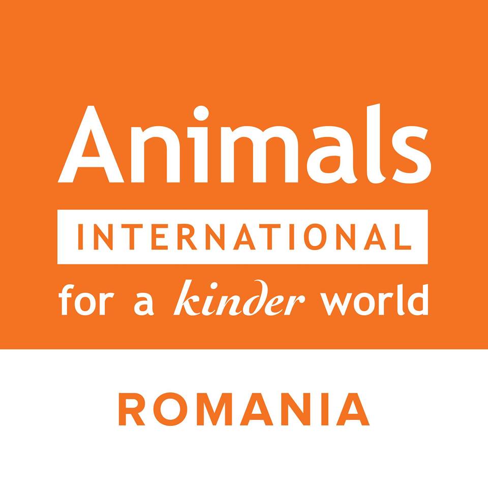 Animals International