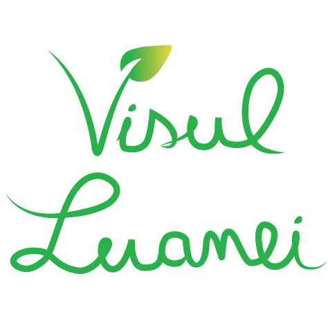 Visul Luanei